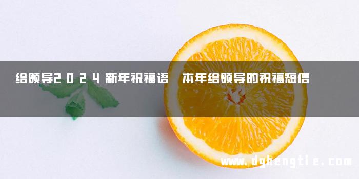 给领导2024新年祝福语 本年给领导的祝福短信